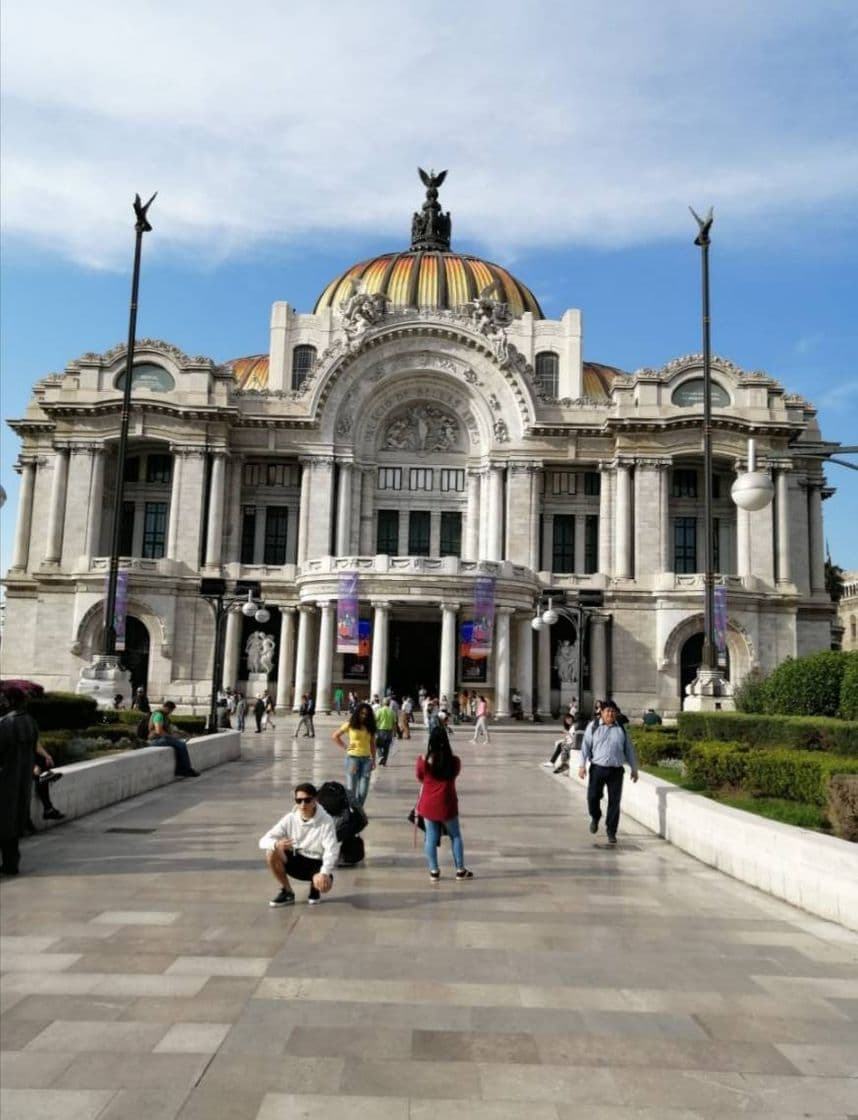 Lugar Bellas Artes