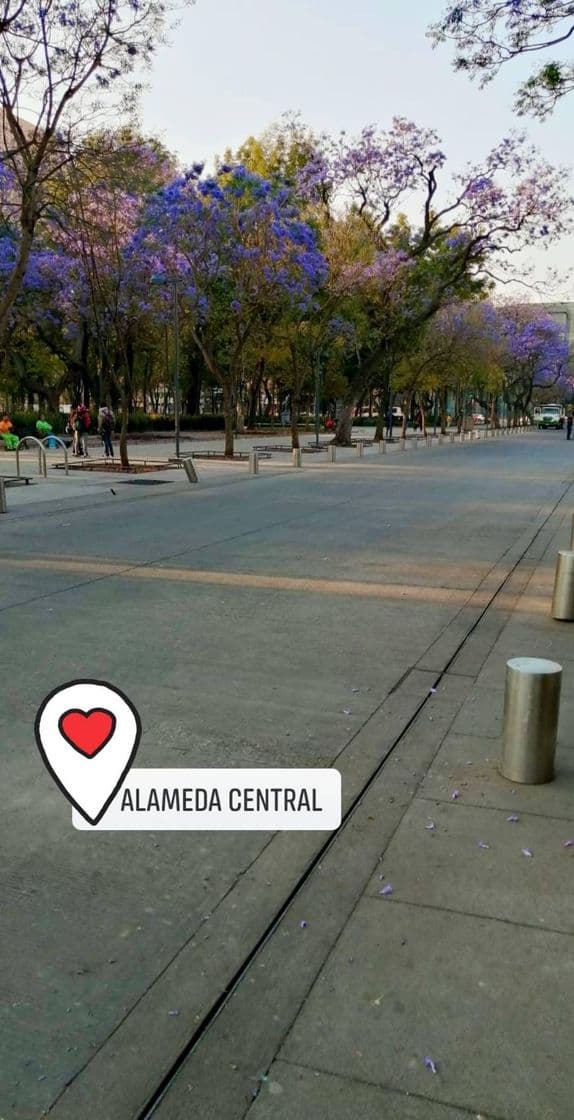 Lugar Alameda Central