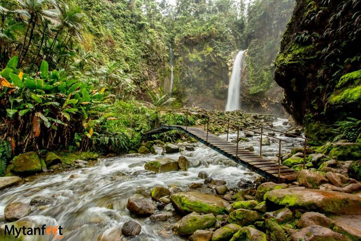 Lugar Catarata Río Agrio