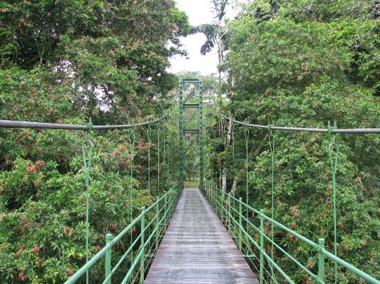 Lugar La Selva Biological Station