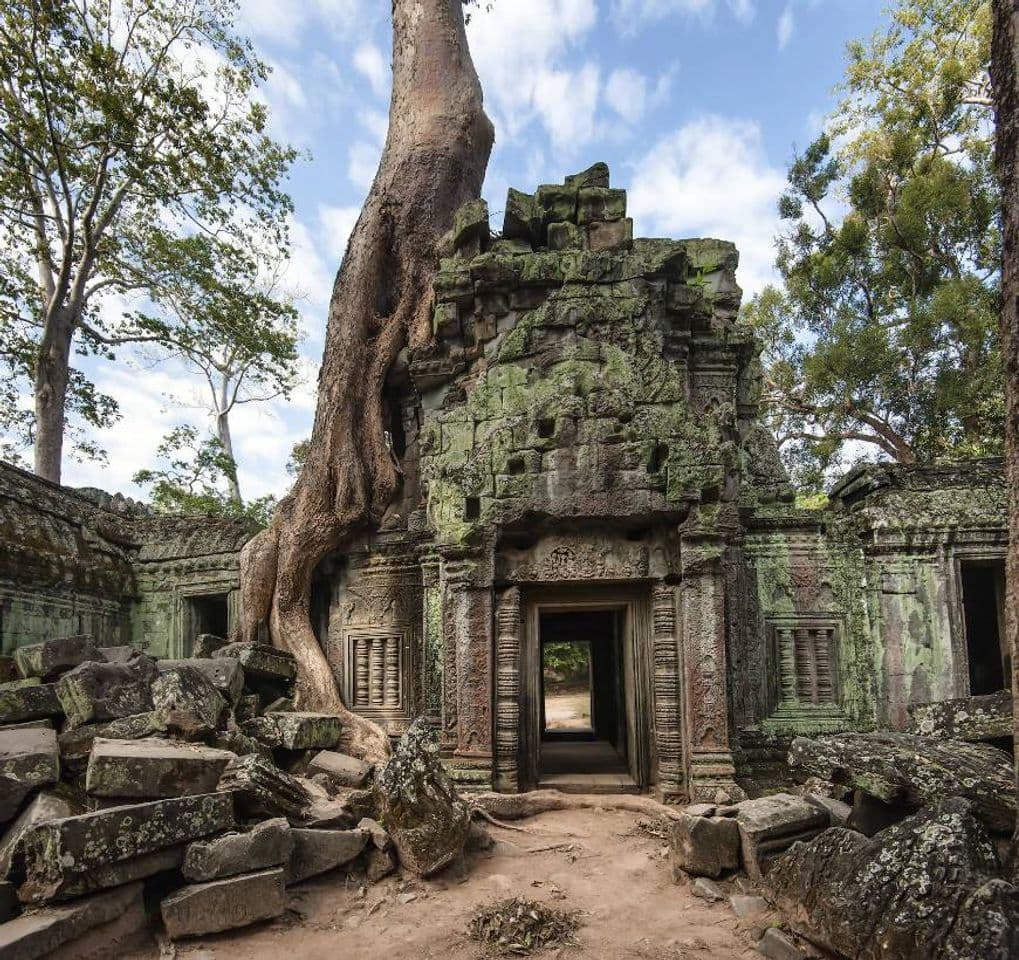 Restaurantes ANGKOR