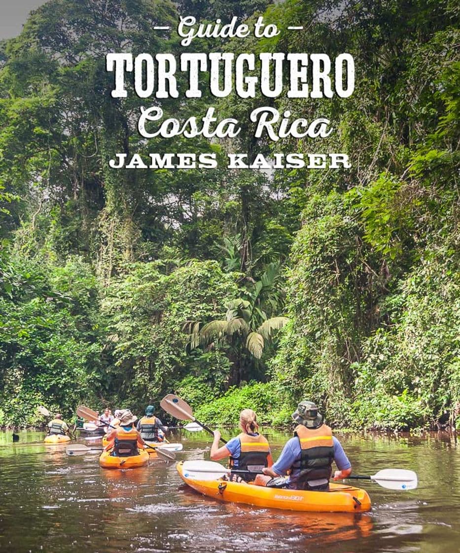 Lugar Tortuguero National Park