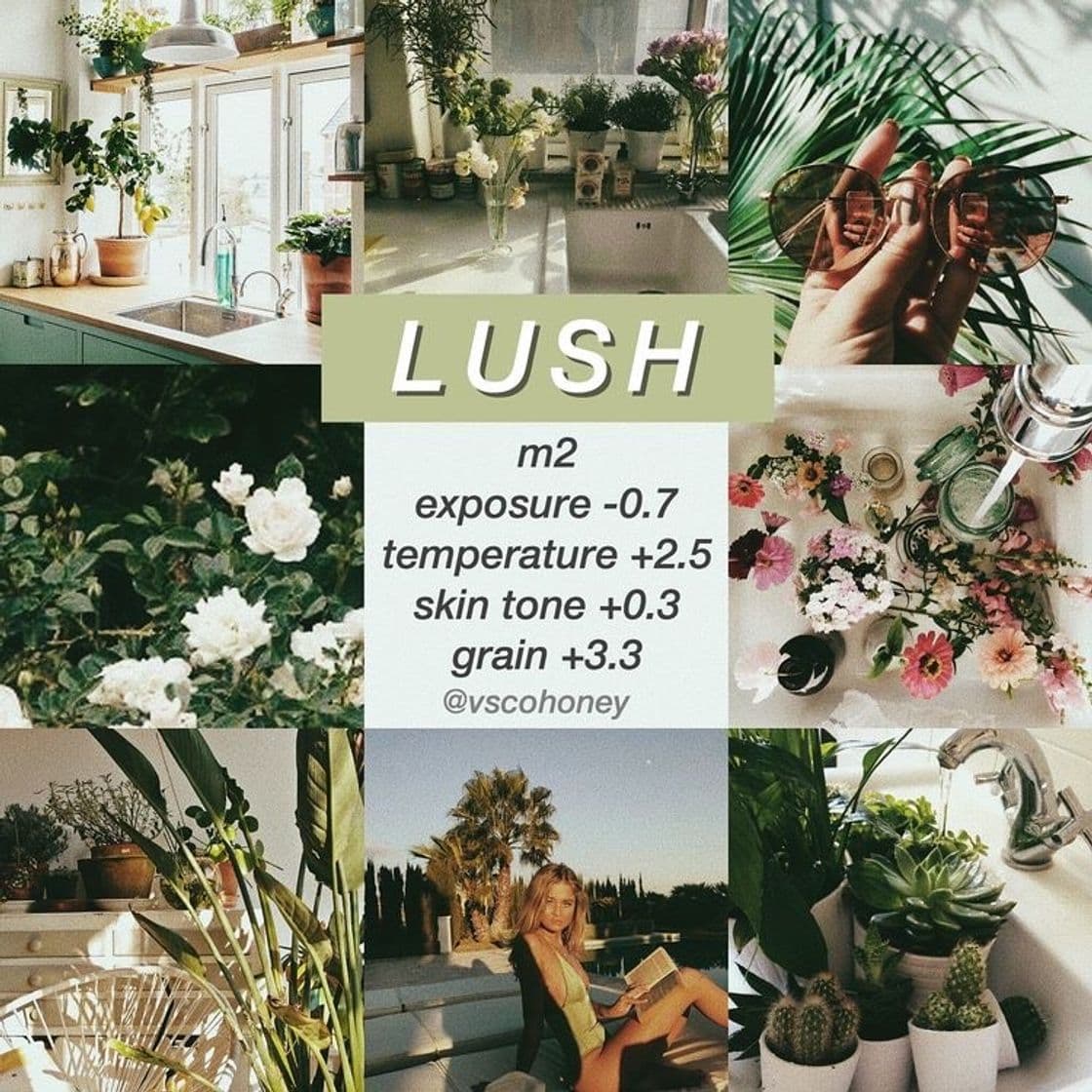 Fashion lush 🌿☘️