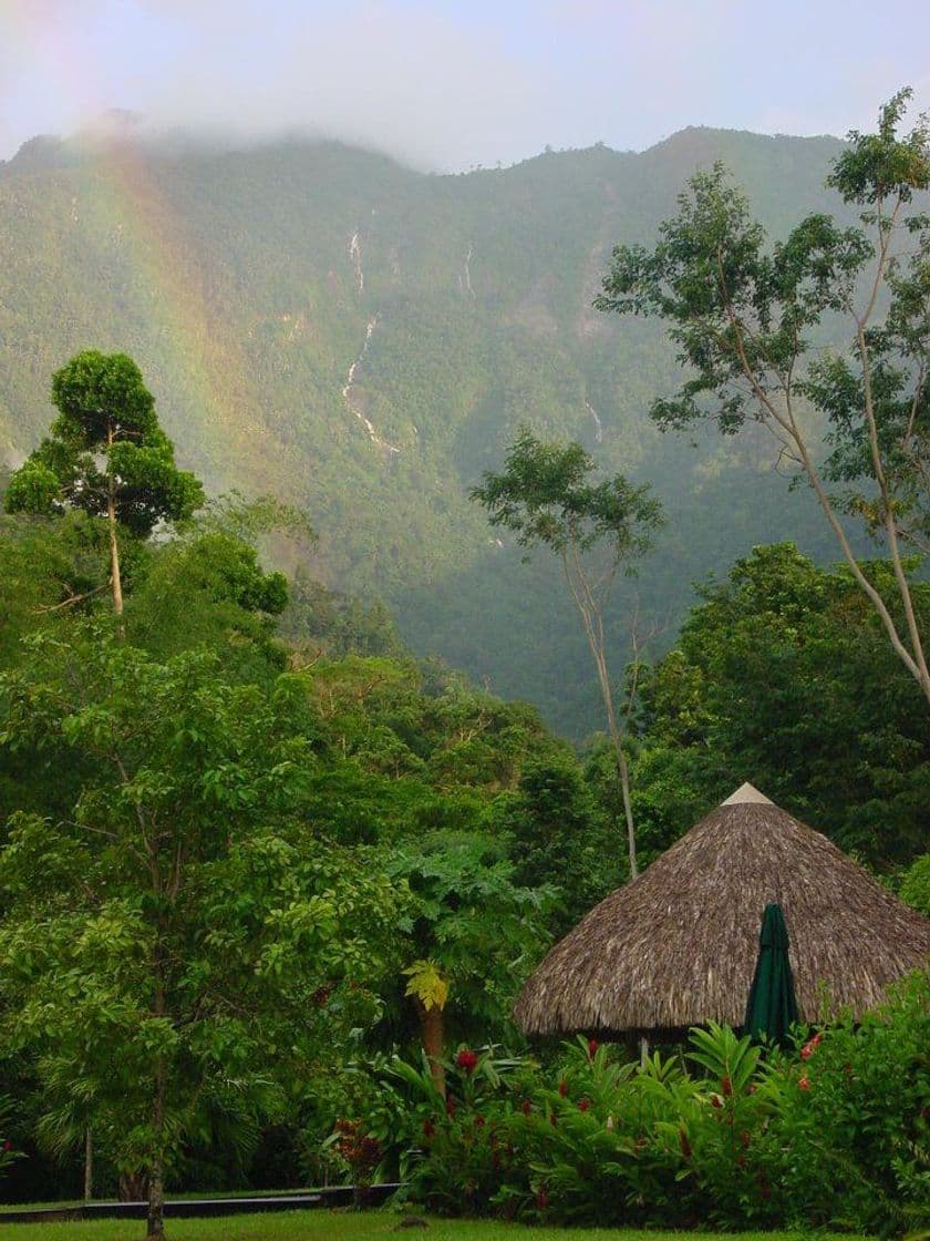 Lugar El Merendón National Forest