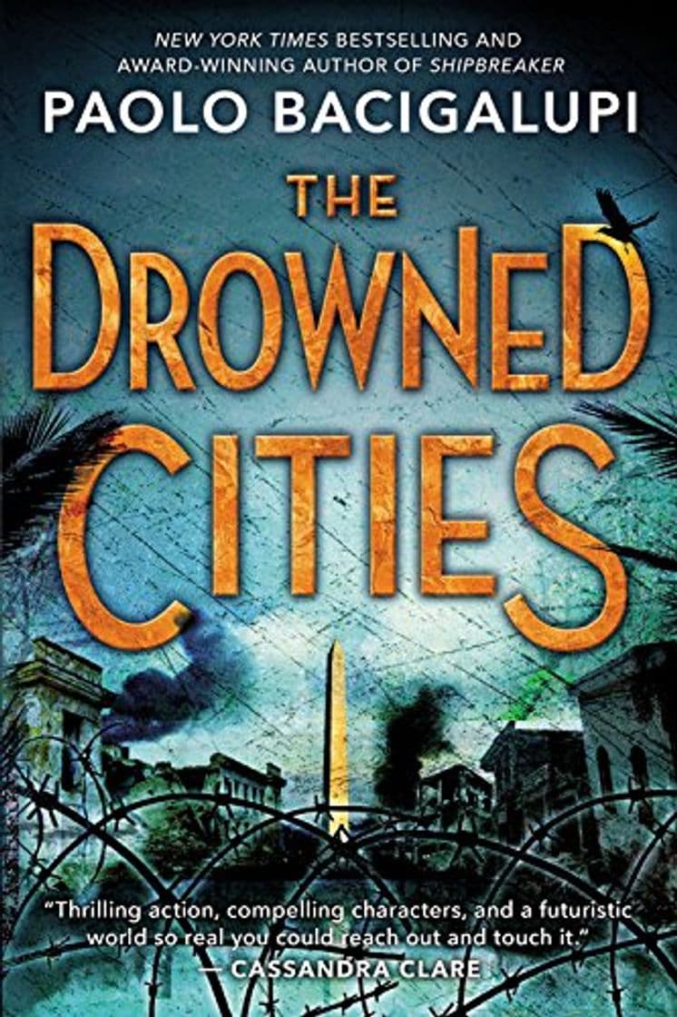 Book The Drowned Cities