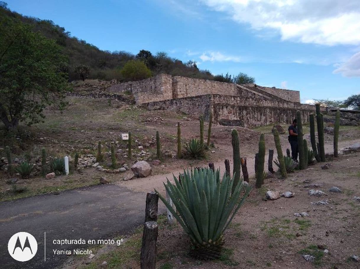 Place Dainzú Zona Arqueológica