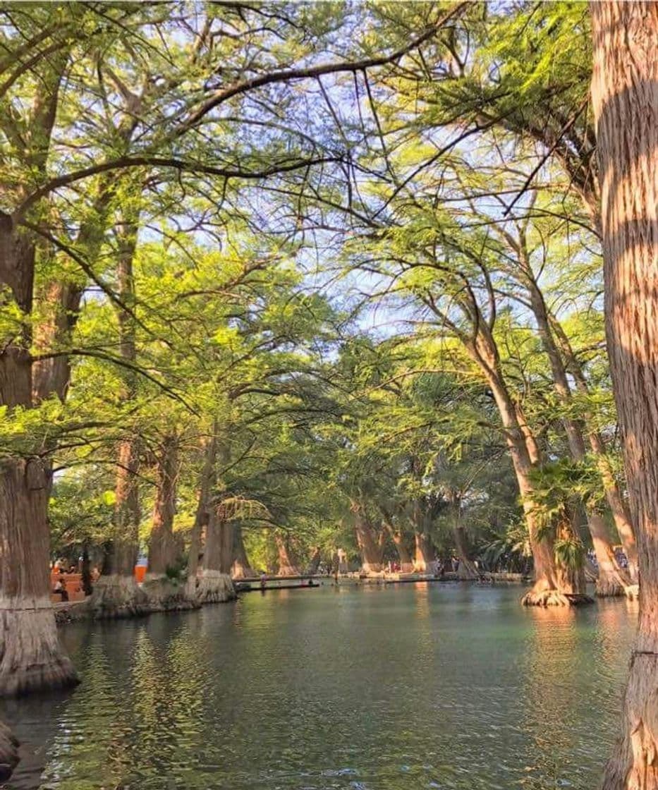 Lugar Lampazos de Naranjo