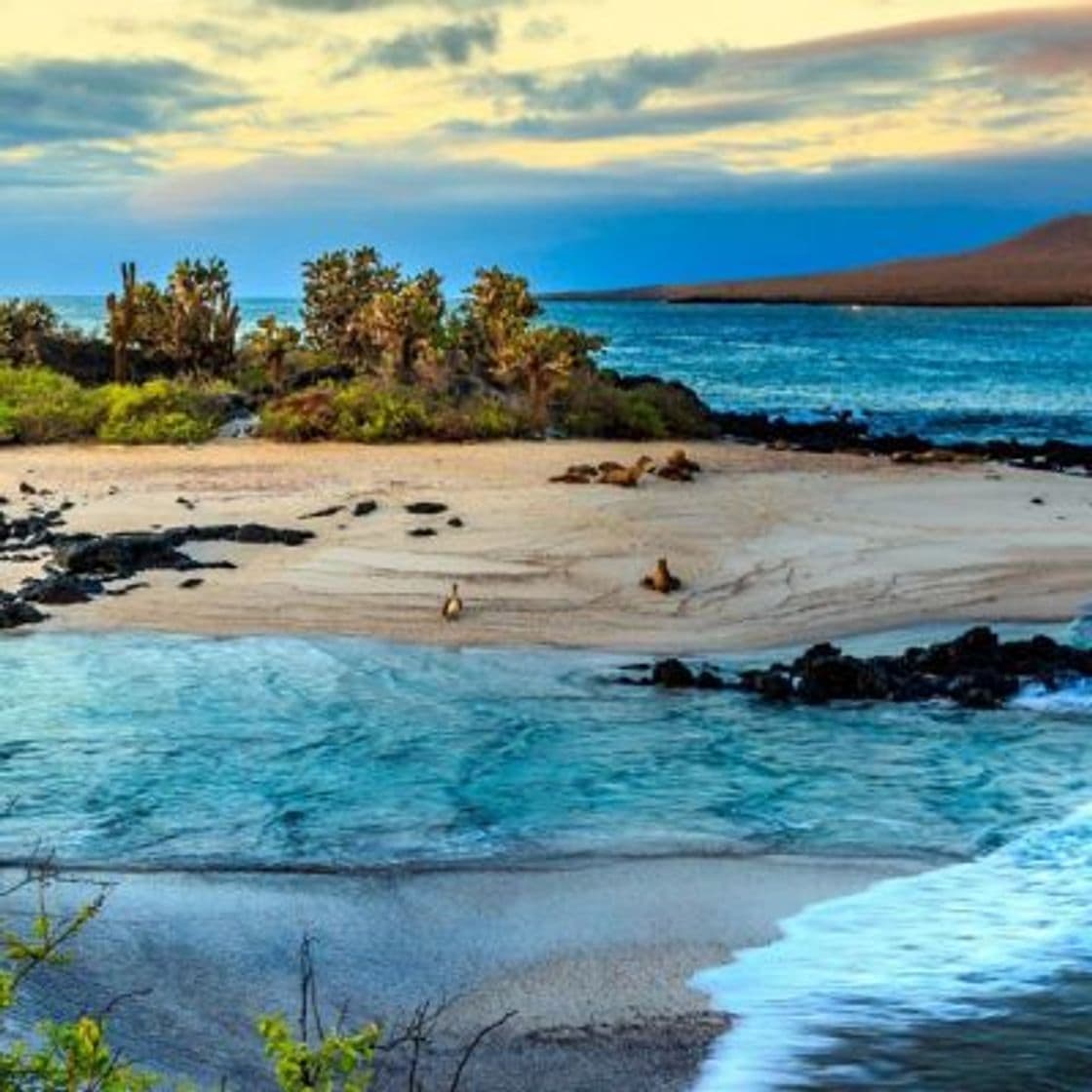 Lugar Galapagos Islands