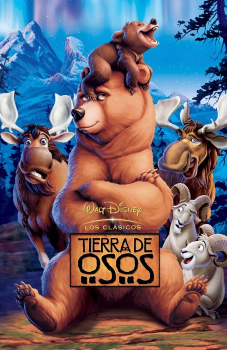 Película Tierra de Osos 🐻 