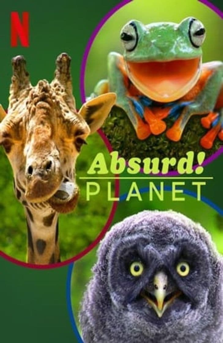 Serie Absurd Planet