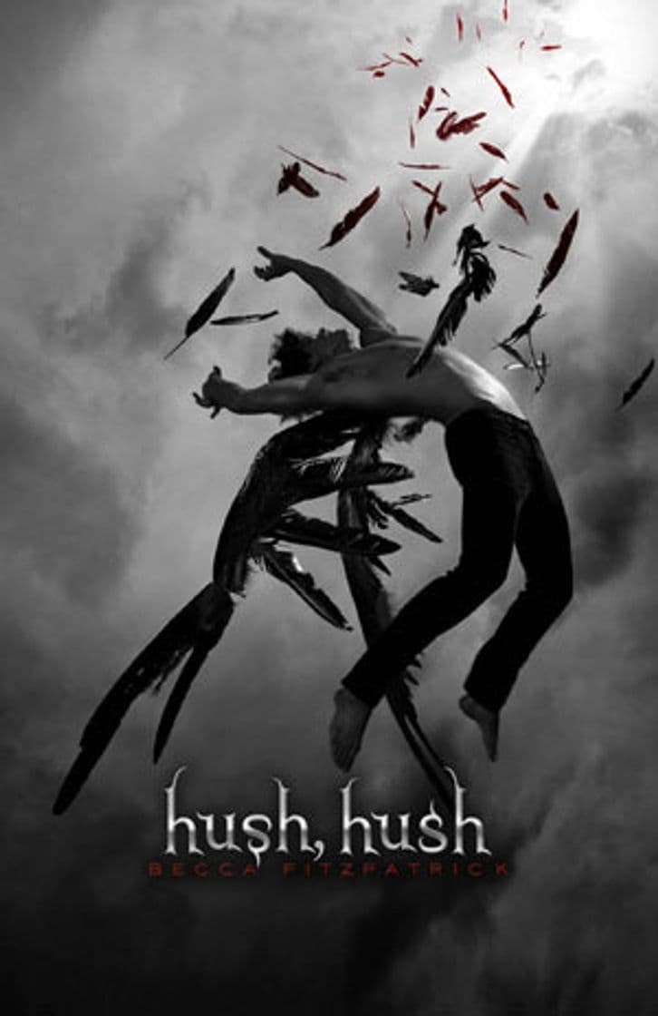 Book Hush, Hush: 1