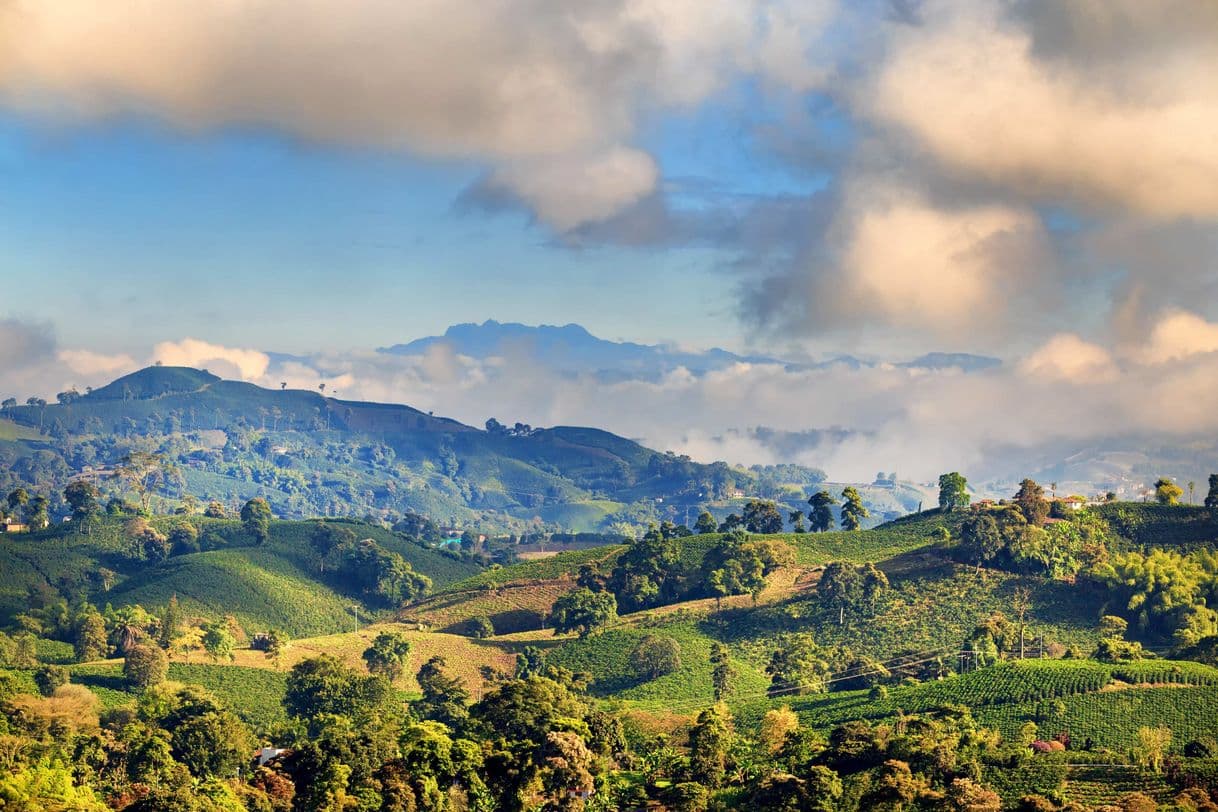 Lugar Eje Cafetero