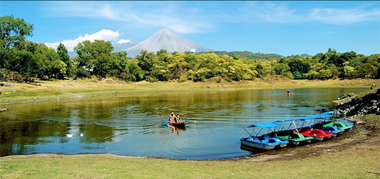 Lugar Laguna de Carrizalillos