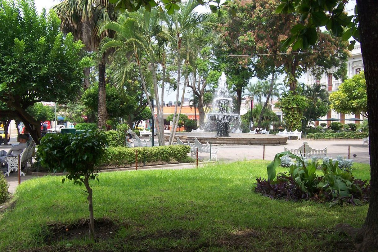 Lugar Jardín Torres Quintero