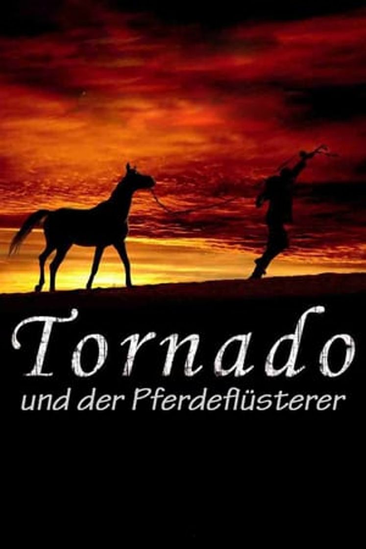 Movie Tornado and the Kalahari Horse Whisperer