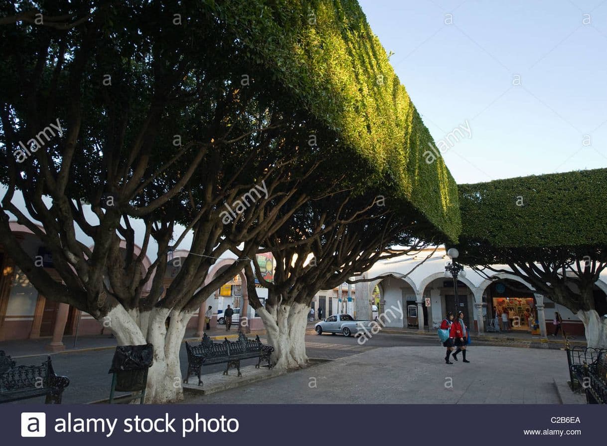 Place Maravatío