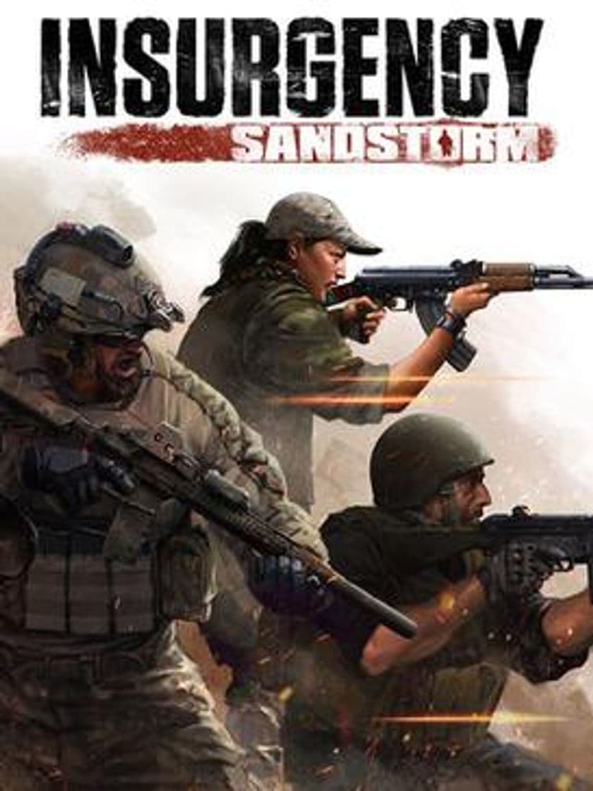 Videogames Insurgency sandstorm 