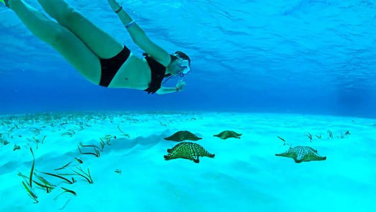 Lugar Snorkel El Cielo Cozumel