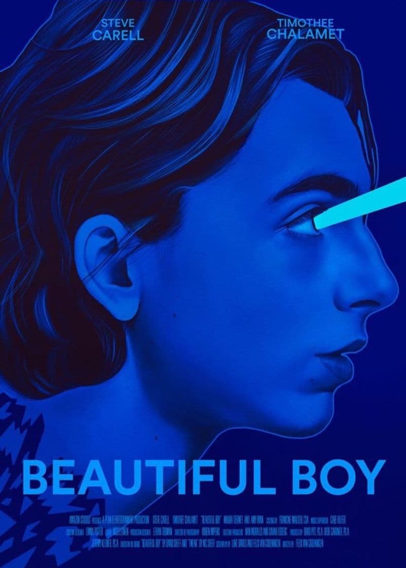 Película Beautiful Boy