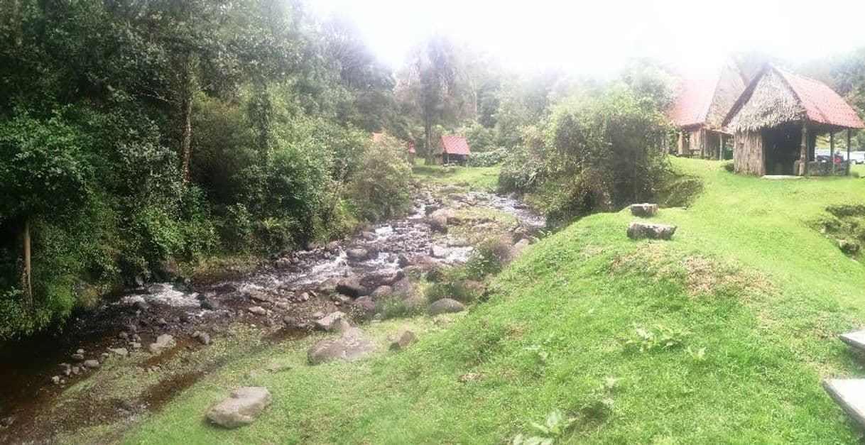 Restaurantes Truchas Madre Selva