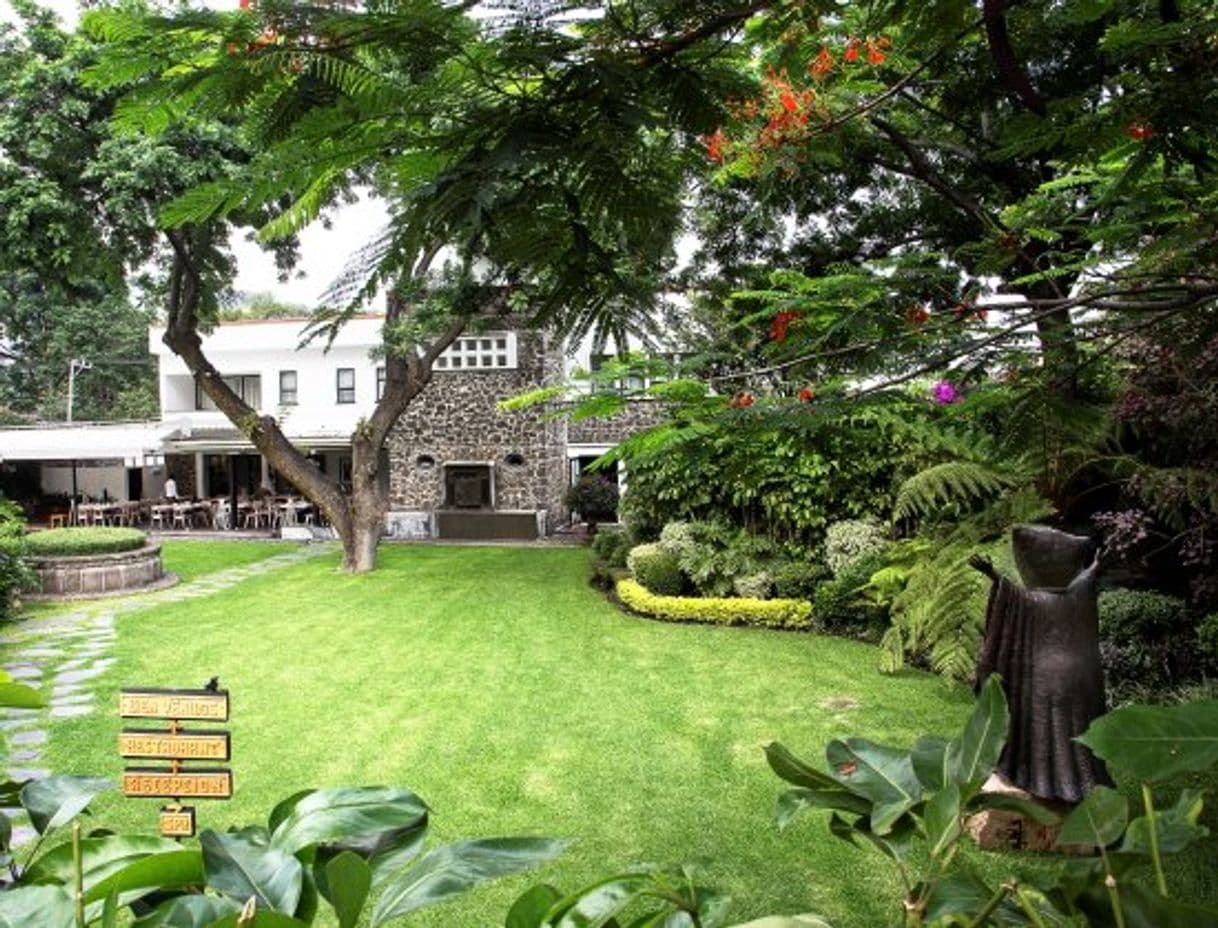 Place Hotel Boutique Casa Fernanda, Spa Tepoztlán, Bodas Tepoztlán