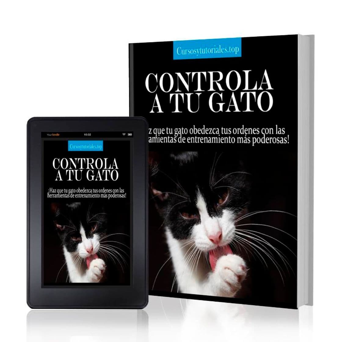 Moda "Controla a tu Gato"