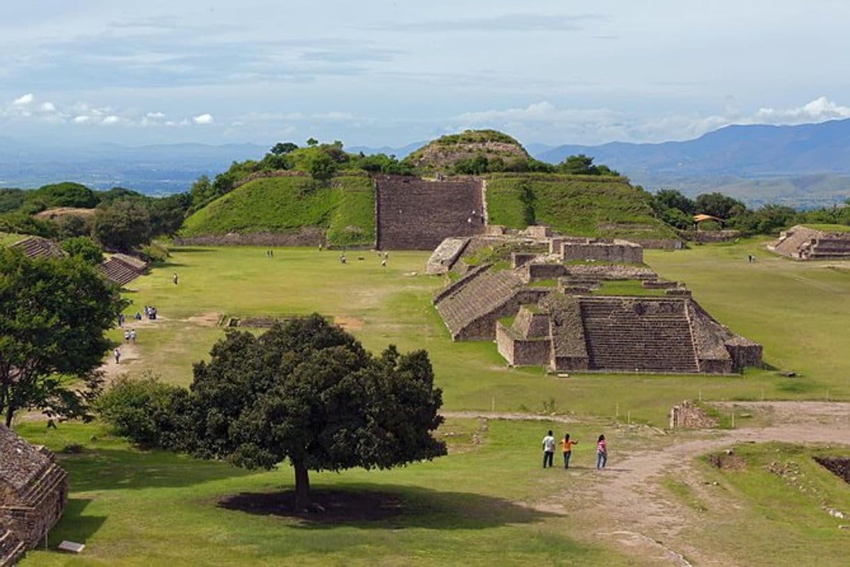 Place Monte Albán