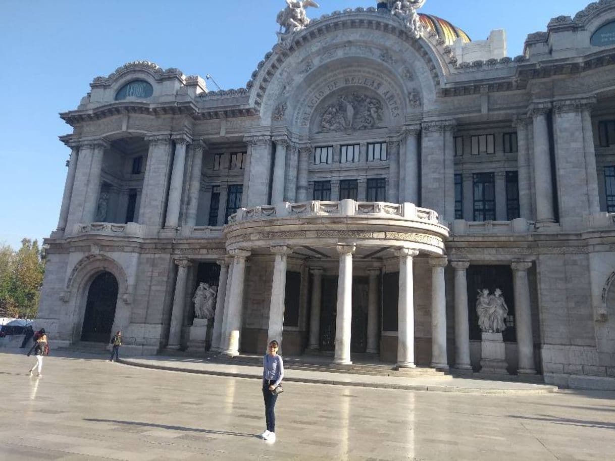 Place Museo De Bellas Artes