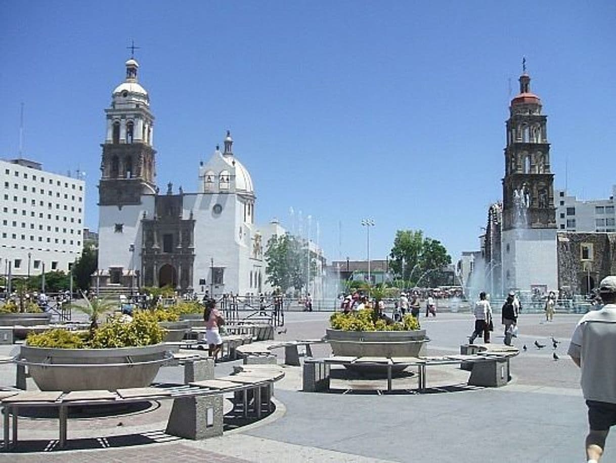 Place Irapuato