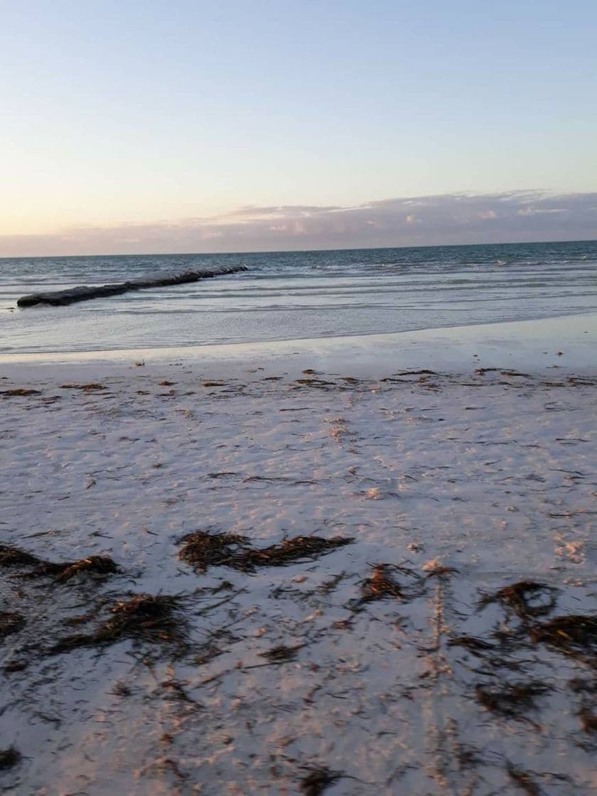 Lugar Isla de Holbox