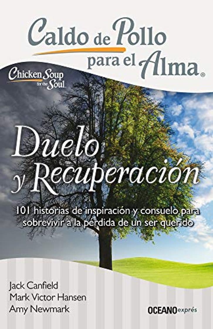 Book Duelo y recuperación: 101 Historias De Inspiración Y Consuelo Para Sobrevivir a