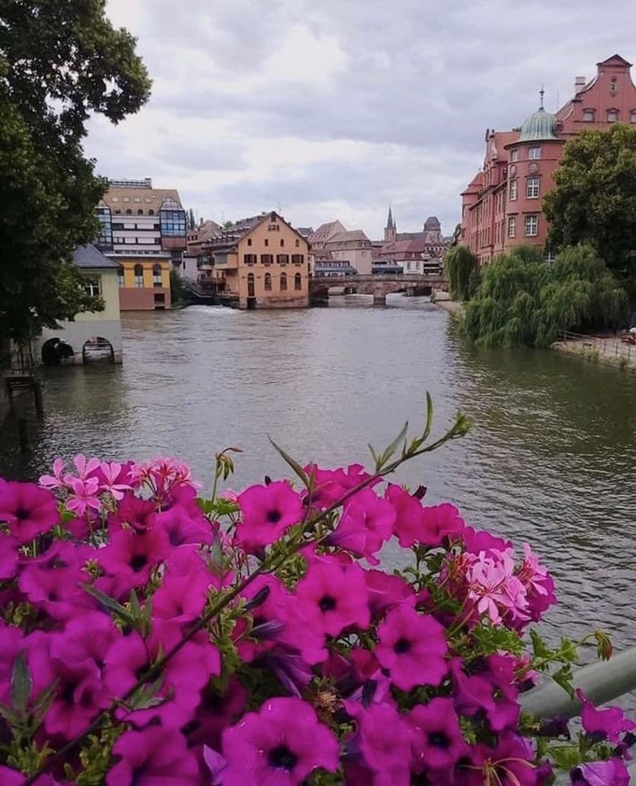 Place Colmar