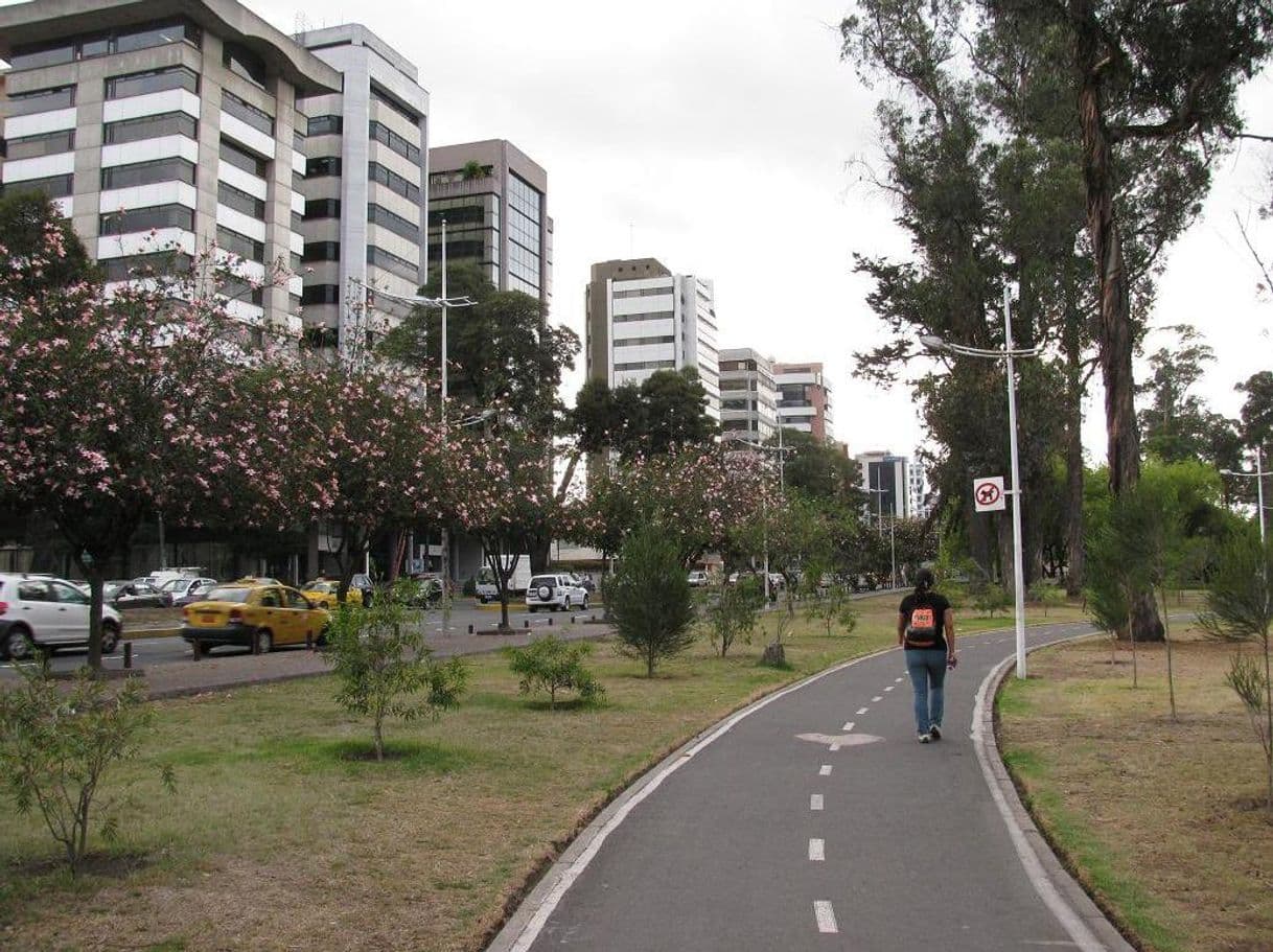 Lugar Parque La Carolina.