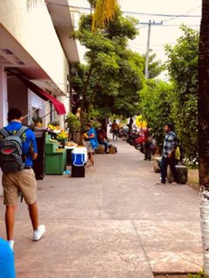 Lugar Centro de Cozumel.