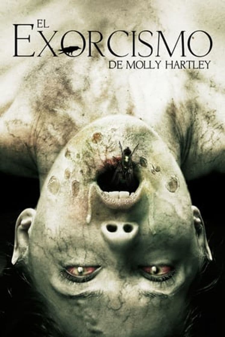 Película The Exorcism of Molly Hartley