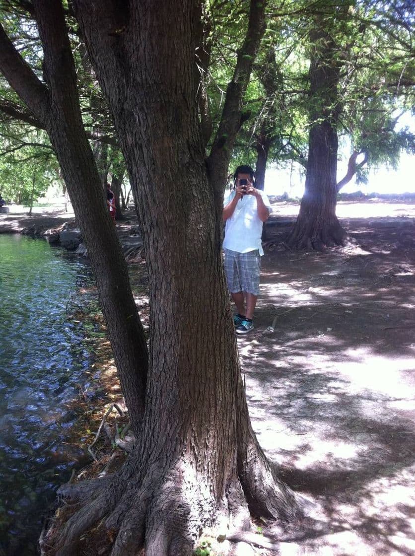 Place Lago de Camécuaro