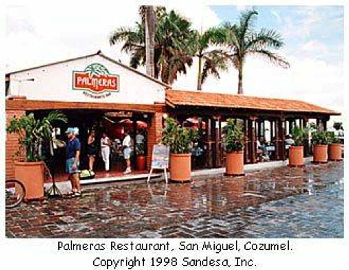 Restaurantes Restaurante Palmeras Cozumel