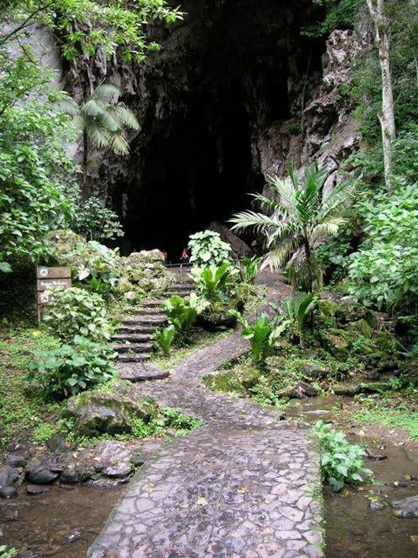 Lugar Parque Nacional El Guácharo