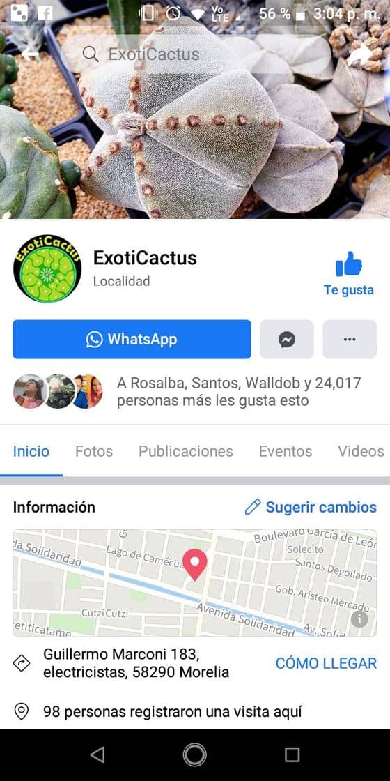 Moda ExotiCactus - Home | Facebook