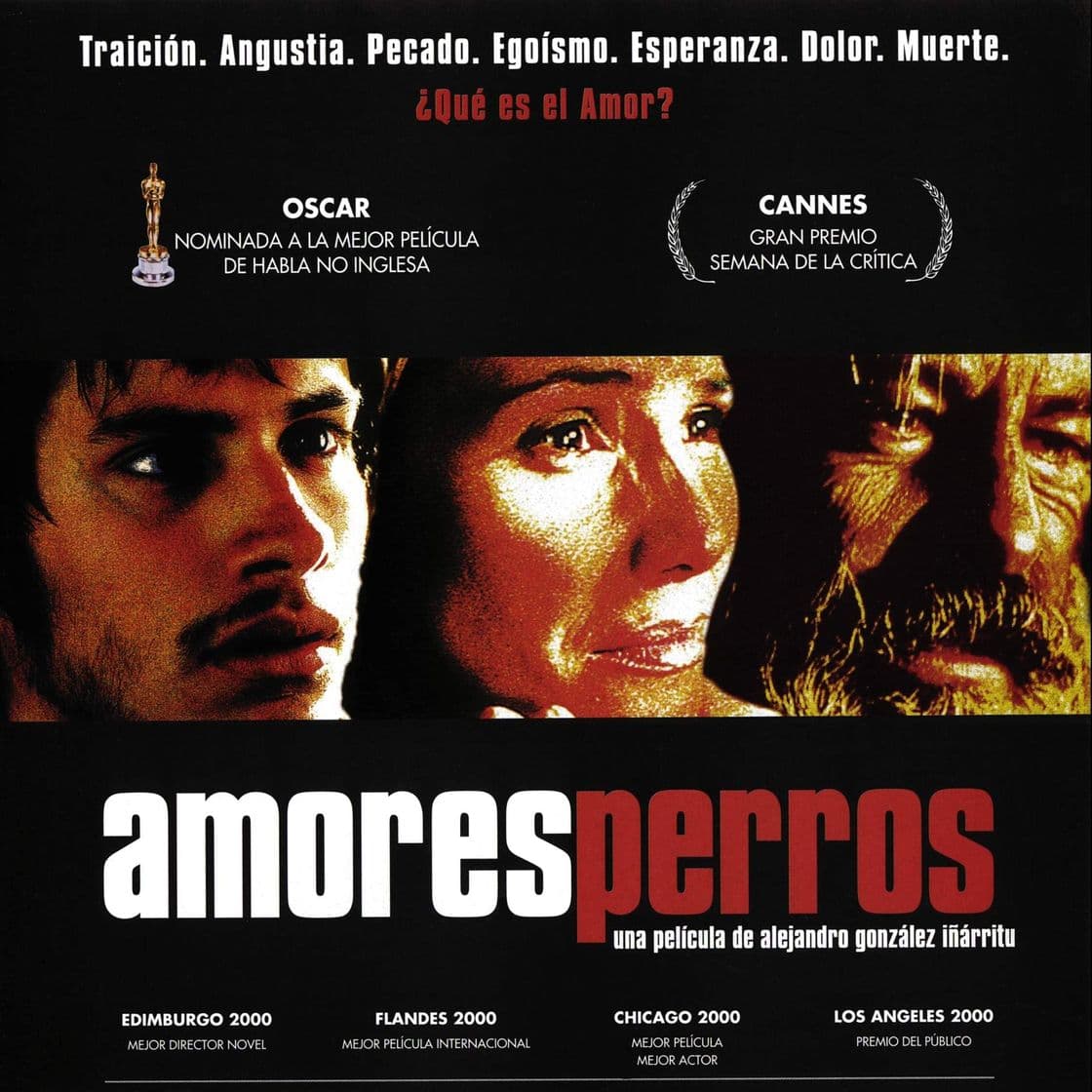 Película Amores Perros