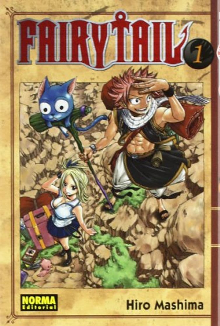 Libro FAIRY TAIL 01