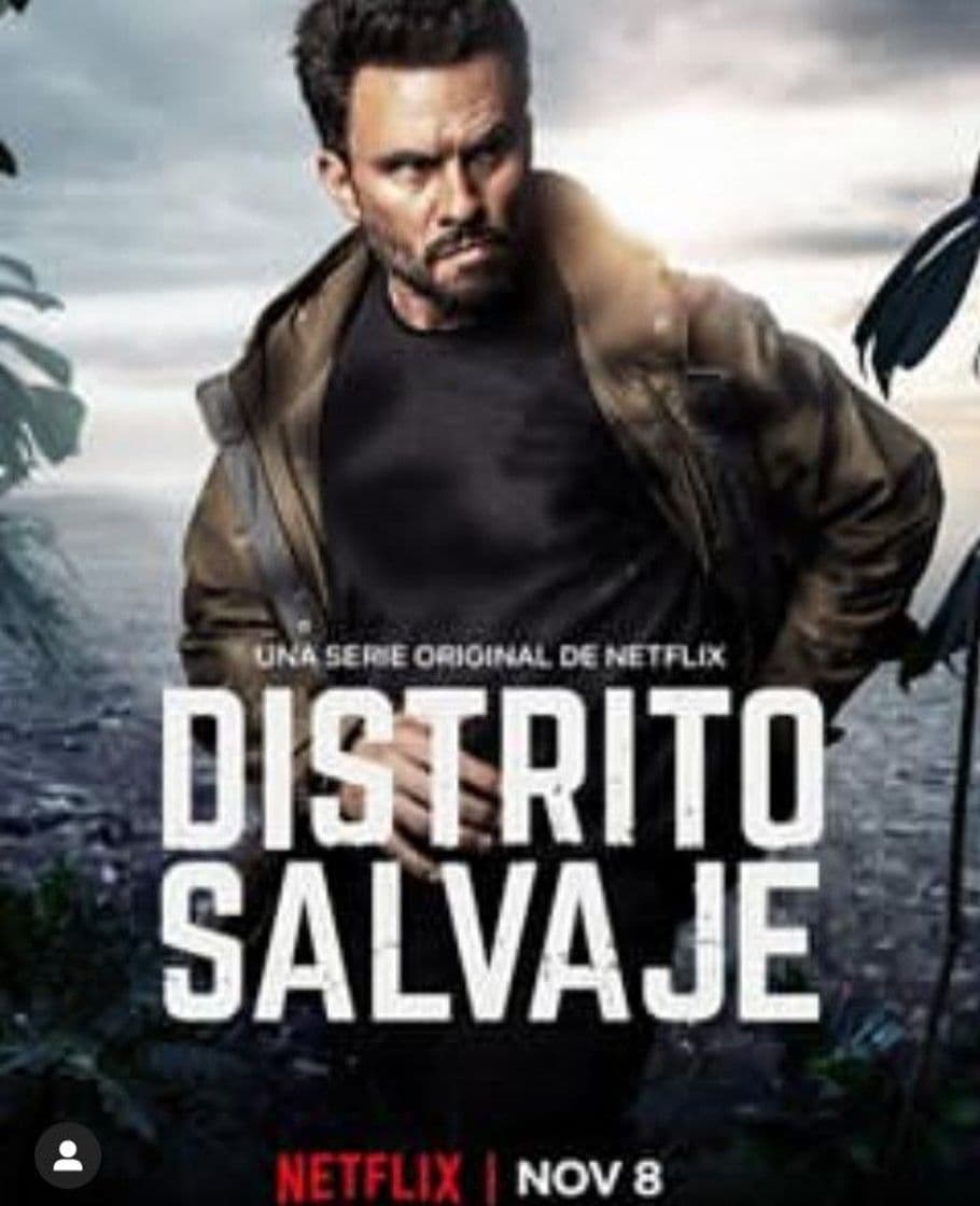 Serie Wild District