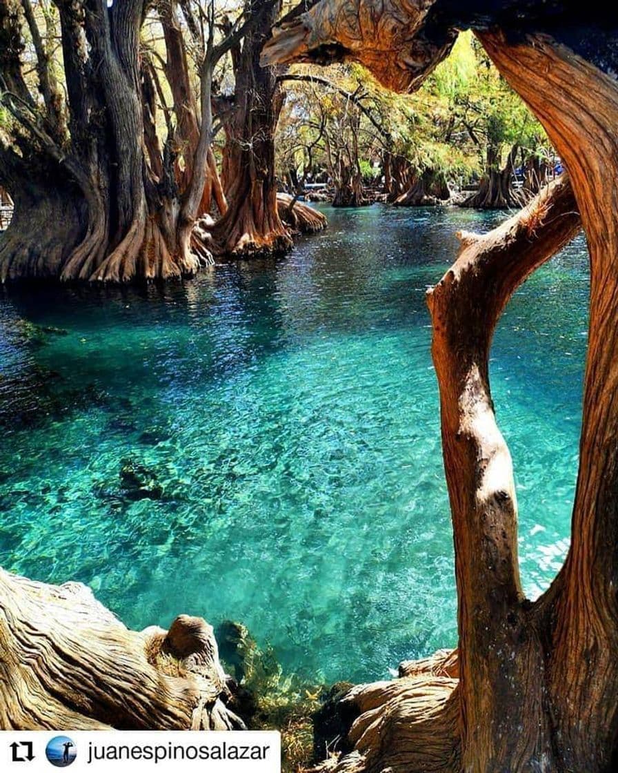 Lugar Lago de Camécuaro