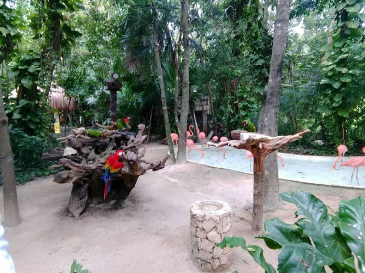 Lugar XCARET