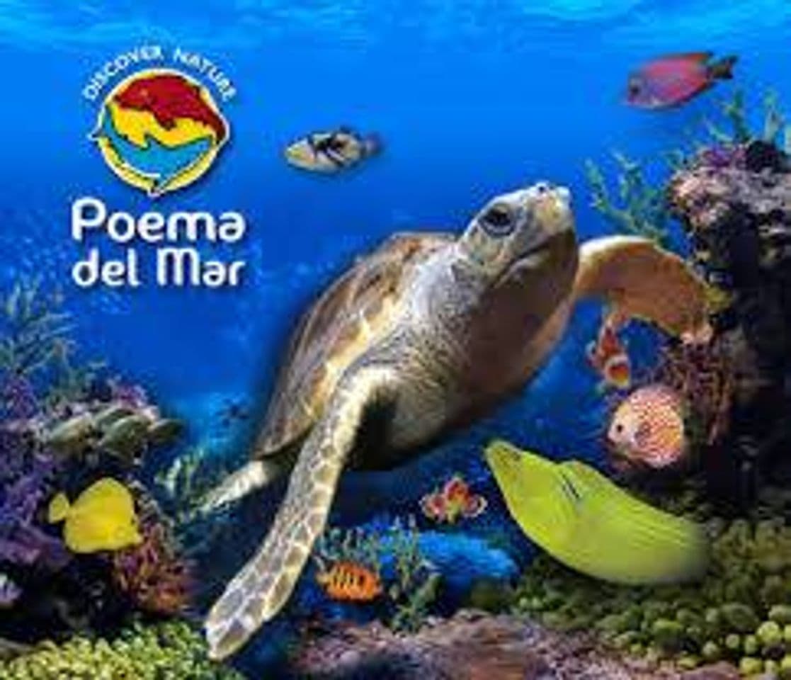 Moda El acuario Poema del Mar (Gran Canaria) amplía su grupo de 60 ...