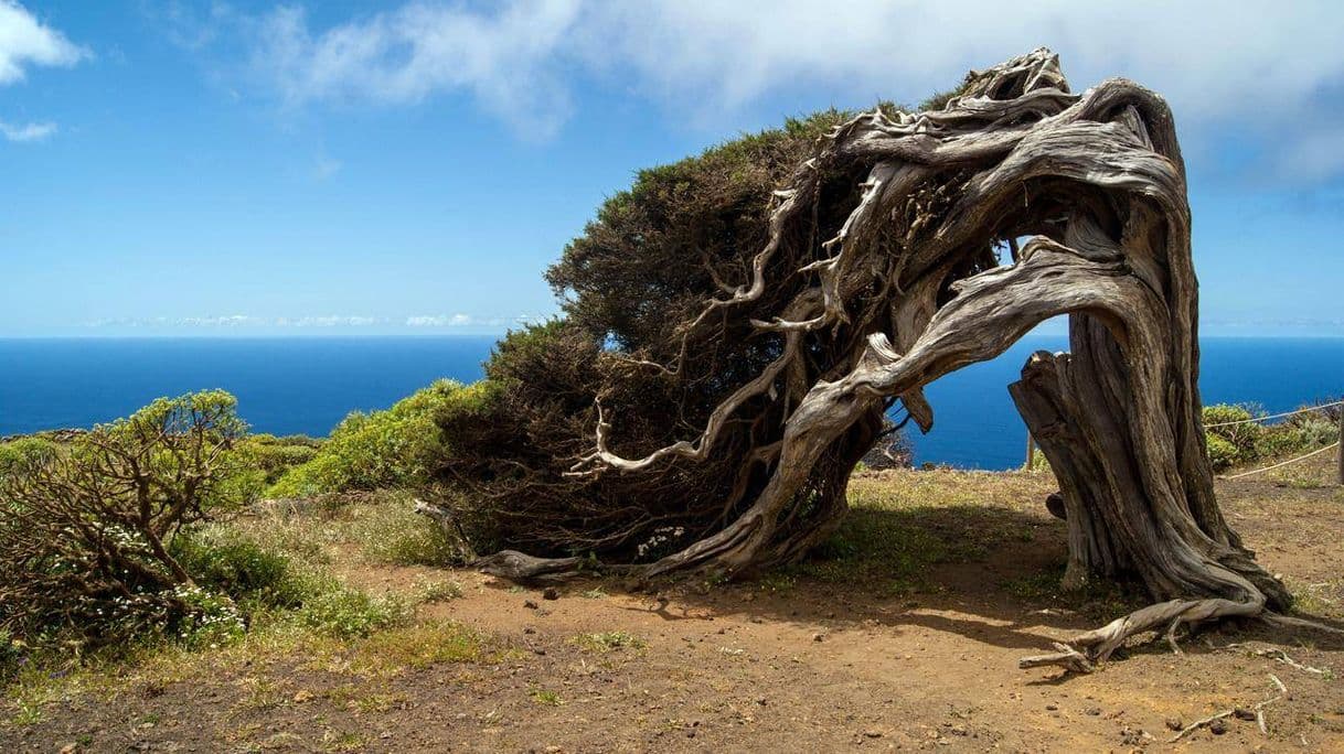 Lugar El Hierro Canarias