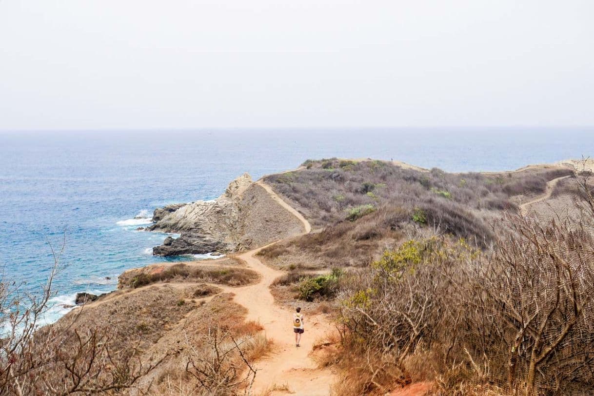 Place Punta Cometa