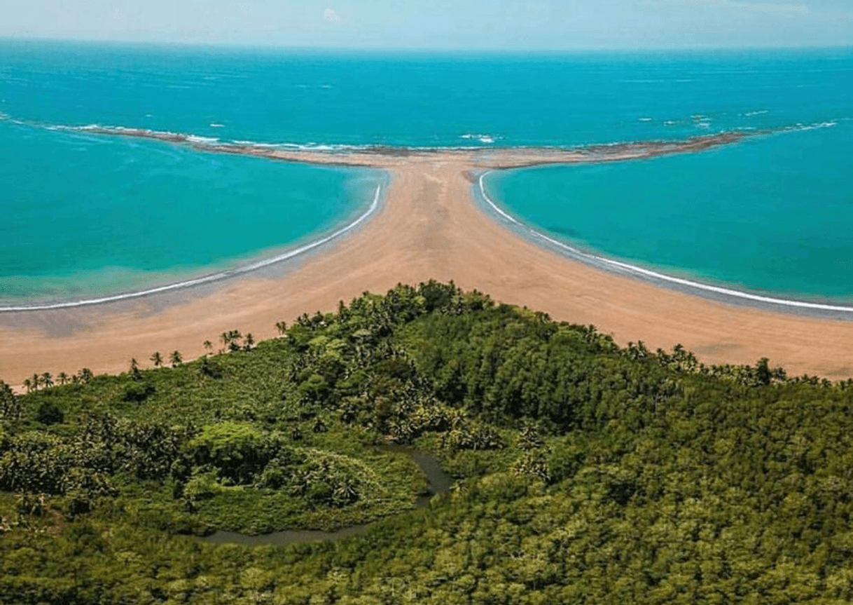 Lugar Bahía Ballena