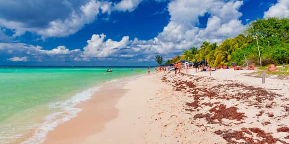 Restaurantes Playa Palancar