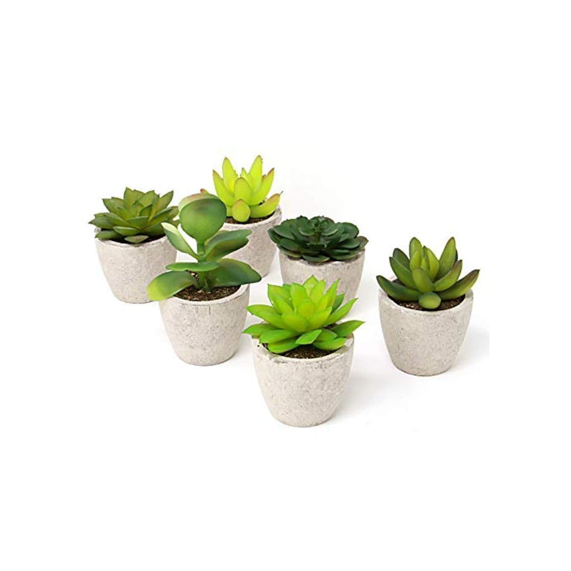 Home Maison & White Conjunto de 6 plantas artificiales suculentas